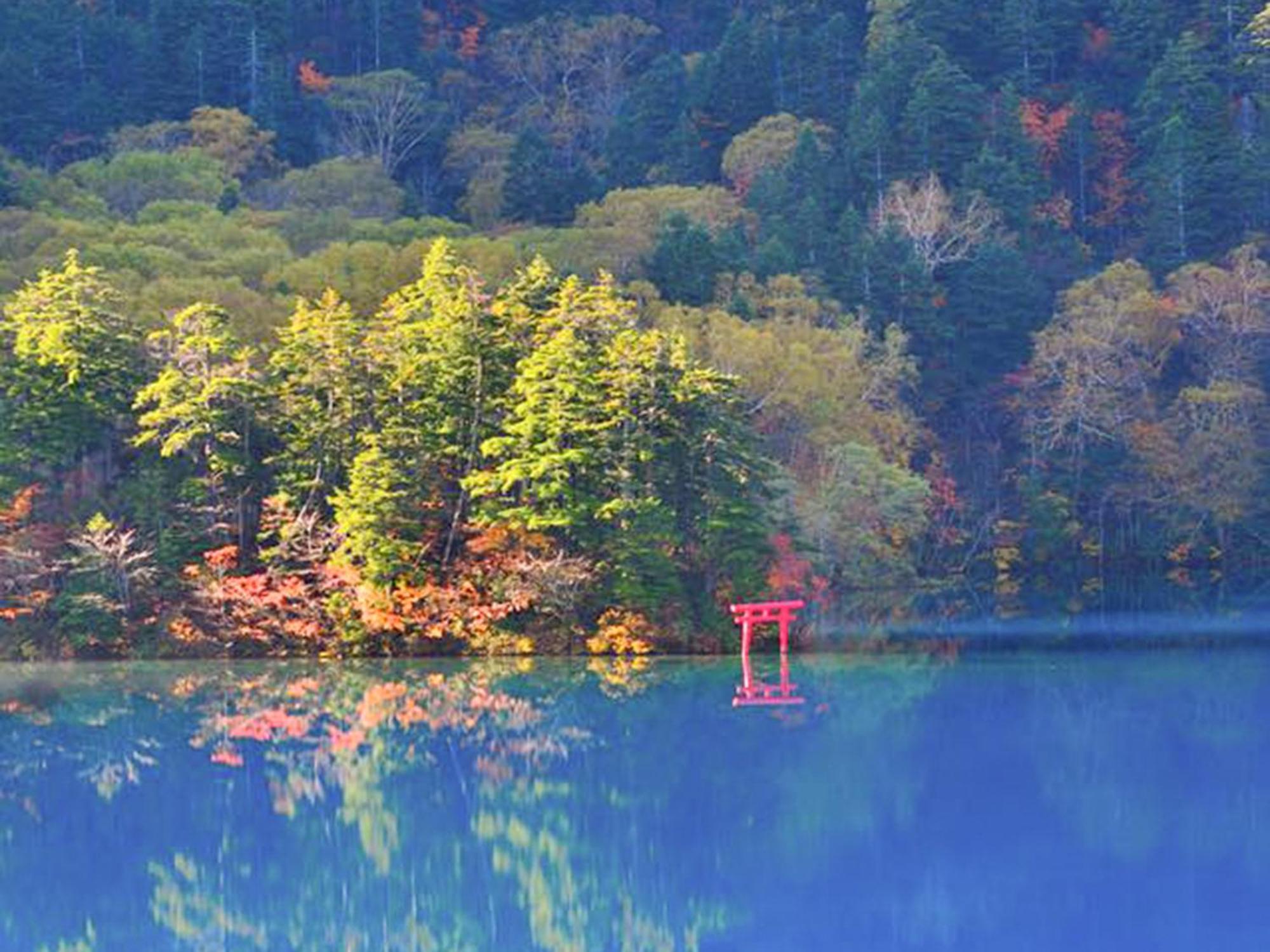 山之內志贺高原旅舍别墅 外观 照片
